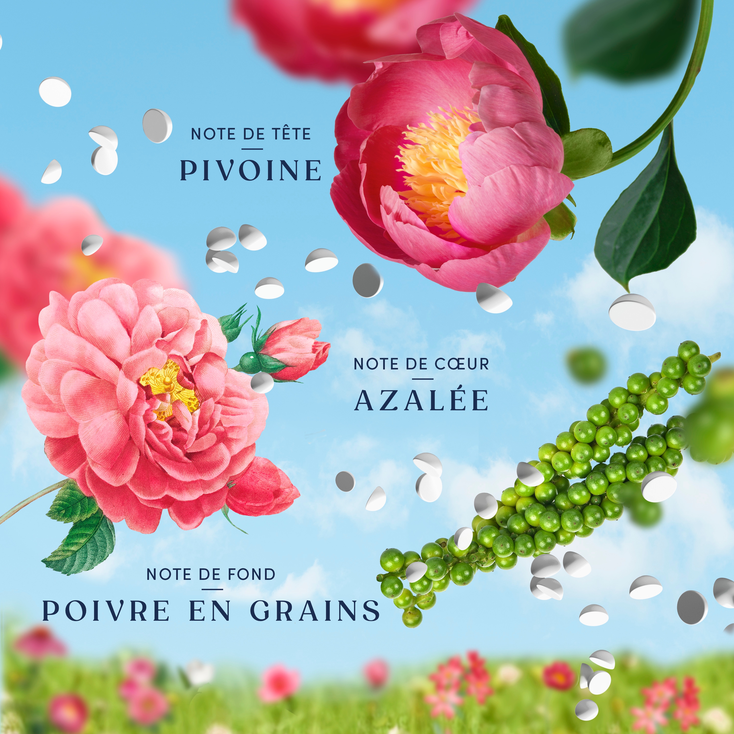 Downy Boutique Botanicals In Wash Laundry Scent Booster Beads, PEONIA Scent, 598 g, Boutique Fragrances inspired by the Artistry of Nature