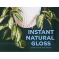 thumbnail image 2 of Chrysal Leafshine Large Can 750 ml Bonus Size, 2 of 7