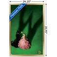 thumbnail image 2 of Wicked - Fiche d'introduction, 2 of 4