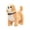 G, variant on Interactive Dog Toy for Kids – Walks, Barks, Wags Tail and Plays Music with Touch Sensing, Soft Fabric Construction, Requires Batteries