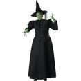 thumbnail image 1 of Women's Plus Size Black Witch Costume, 1 of 2