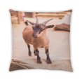 thumbnail image 2 of Ahgly Company Animals Goat Coussin d'Extérieur, 18 Pouces par 18 Pouces, 2 of 6