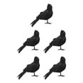 thumbnail image 2 of Shengyu Halloween Party Decoration - Clear Texture And Festive Ambiance Simulation Crow Crooked crow 5Set, 2 of 6