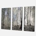 thumbnail image 2 of Design Art - Matin Sombre dans un Panorama de Forêt, 2 of 3