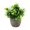 thumbnail image 1 of Decodeary Green Eco-friendly Artificial Money Tree In Pot Long-lasting Durability Realistic Appearance new blue babysbreath 1Set, 1 of 6