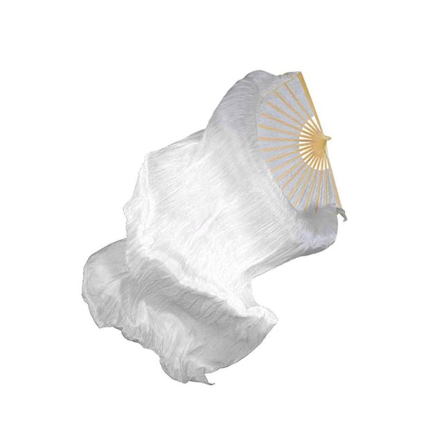 Ventilateur en Soie pour Danse du Ventre, Ventilateur pour Fête, Performance LED, Lumière LED