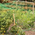 thumbnail image 4 of Amdohai Bird Netting Garden Net Anti Bird Protective Mesh Plants Flowers Fruit, 4 of 9