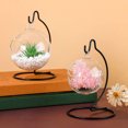 thumbnail image 2 of Shisuyan 6 Pcs Support de Globe en Verre pour Bureau Support de Jardinière Robuste pour Terrarium, 2 of 8