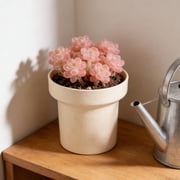 Uscallm Succulents Pots Plastic Mini Indoor Flower Planters, Creative Desktop Planter for Small Plants, Modern Nordic Style Decorative Pots, 12x12x9cm Miniature Gardening Container