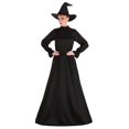 thumbnail image 3 of Women's Deluxe Harry Potter McGonagall Costume, 3 of 4