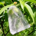 thumbnail image 4 of 1PC Kids Snack Boxes For School Fruit Bags 2024 Upgraded Garden Netting Bags With Drawstring 100 Pcs Fruit Netting Bags Reusable Netting Barrier Bags For Protecting Fruits And Vegetables Black, 4 of 9
