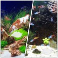 thumbnail image 3 of 1Set Easy Installation Shrimp Bowl Aquarium for Feeding Reptiles 8.6x6.8in, 3 of 8
