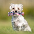 thumbnail image 4 of CBFFDC Dog Chew Toy Interactive Dogs Toy Bite resistant Rope Dog Training Toy Pet Supplies 1Pc/3Pcs/5Pcs, 4 of 5