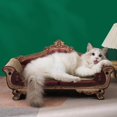 thumbnail image 4 of kurtrusly Cat Scratcher Scratching Bed for Cats and Kittens Chair Scratch Pad Board, 4 of 8