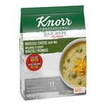 Knorr Professional Broccoli Cheese Soup Mix, 595 g -- 4 per case