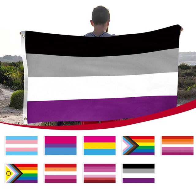 EGNMCR Pride Flag Pride Flag Progress LGBT Flags 3x5 Outdoor Bisexual All Inlcusive Pride Flag Heavy Duty Polyester Flags Deco Bisexual Lesbians ensign ensign