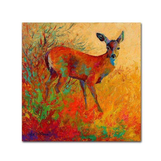 Doe by Marion Rose, 35x35-Inch Canvas Wall Art
