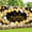 Black #0, variant on Vaidha Graduation Decorations Congratulations Graduation Banner 2024 Graduation Banner Graduation Decorations Graduation Photo Backgrounds