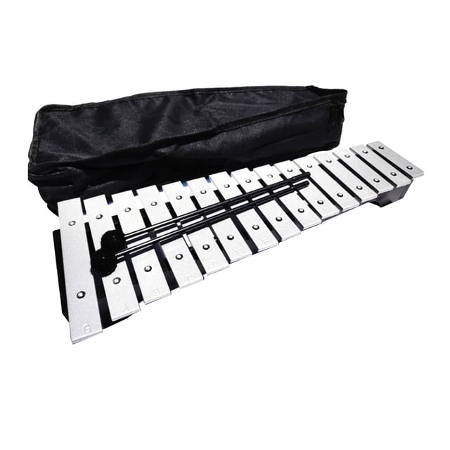 Professional 15-Note Metal Xylophone with Carrying Case And Mallets Musical Instrument Toy Percussion Xylophone for Kids Gifts