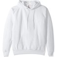 thumbnail image 1 of Hanes Mens ComfortBlend EcoSmart Pullover Hoodie Sweatshirt, M, Ash, 1 of 1