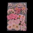 thumbnail image 2 of simhoa Mixed Multiple Real Dried Pressed Flowers Colorful Leaves Flower Petals for DIY Pink, 2 of 8