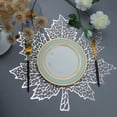 thumbnail image 1 of LSLJS Décor d'Automne 1 Paquet Napperon en PVC Creux en Forme de Feuille d'Érable Napperon Résistant à la Chaleur Lavable Antidérapant Napperon Imperméable pour Table à Manger Décor de Mariage, 1 of 6