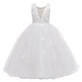 thumbnail image 1 of KAWELL Robe Princesse Lilas pour Fille, Robe de Bal en Tulle Brodé pour Enfants, 1 of 6