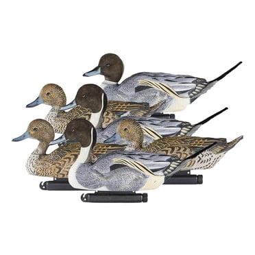 Dakota Decoys - PWD Pintail Floating Duck Decoys