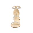 thumbnail image 2 of BLISSFUL STEP Women's Rhinestone Ankle Strap Stiletto High Heels Sandals Beige (Size 10), 2 of 7