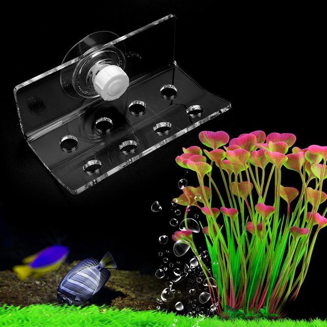 8/ Support Corallien 4 Trous en Option, Support de Frag de Corail de Conteneur de Poisson, pour Aquarium de Conteneur de Poisson
