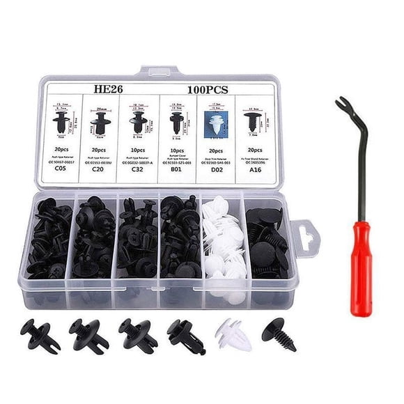Birdeem Car Fastener Box Set (100Pcs)Six Types of Nylon Retainers for General Automotive Snap Fit
