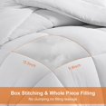 thumbnail image 2 of All Season Queen Comforter Set Soft Quilted Down Alternative Comforter+ Pillow Shams with Corner Tabs Winter Summer Warm Fluffy Machine Washable (Queen ), 2 of 7