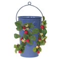 thumbnail image 1 of Jardinière Émaillée Galvanisée pour Fraises et Fleurs, Bleu, 1 of 1