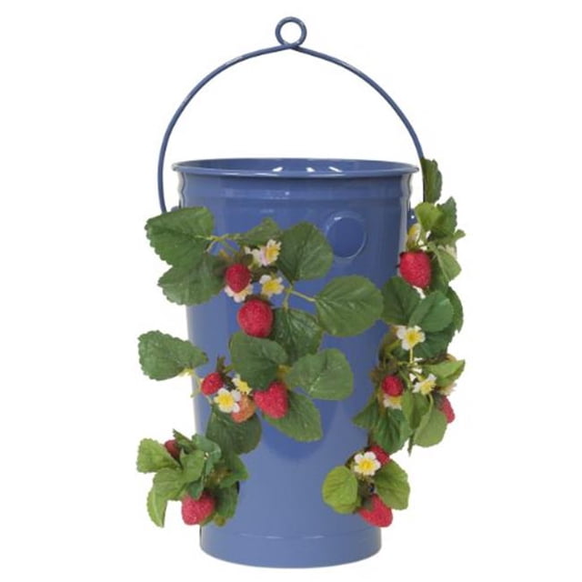 Jardinière Émaillée Galvanisée pour Fraises et Fleurs, Bleu