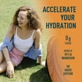 thumbnail image 3 of ELECTROLYTES VARIETY PACK 3.5G 21BAG, 3 of 4