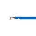 thumbnail image 2 of Monoprice ZEROboot series - Câble de Raccordement - RJ-45 (m) vers RJ-45 (m) - 5 Pi - UTP - CAT 6 - stranded - Bleu, 2 of 2