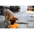 thumbnail image 4 of Dog Bowl Multi-purpose Plastic Round Shape Pet Bowl Pet Feeding Bowl, 4 of 10