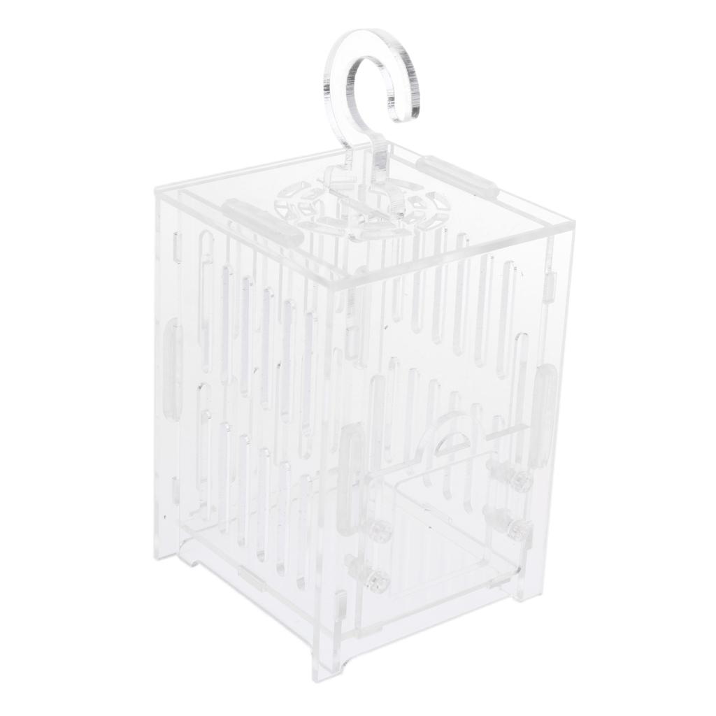 MERIGLARE Réservoir Cage de Vivarium Boîte Acrylique Transparent S