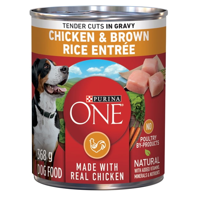 Purina ONE Tender Cuts in Gravy Chicken & Brown Rice Entrée, Wet Dog Food 368 g