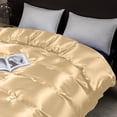 thumbnail image 4 of Housses de Couette et Literie en Soie Luxueuses avec Fermetures Éclair, 4 of 6