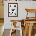 thumbnail image 5 of Phenofice Entomology Display Box Insect Specimen Photo Frame Display Glass 1Pcs, 5 of 5