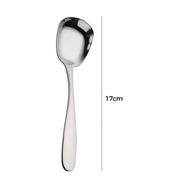 Meitianfacai 2 Pcs Cuillère en Acier Inoxydable Cuillère à Dessert Cuillère à Riz