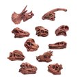 thumbnail image 1 of Rvkxad Modèle de Squelette d'Animaux Anciens, Décor Réaliste de Crâne et d'Os pour Fête d'Halloween, Jouet Éducatif de Squelette, Modèle de Réplique d'Os, 1 of 6