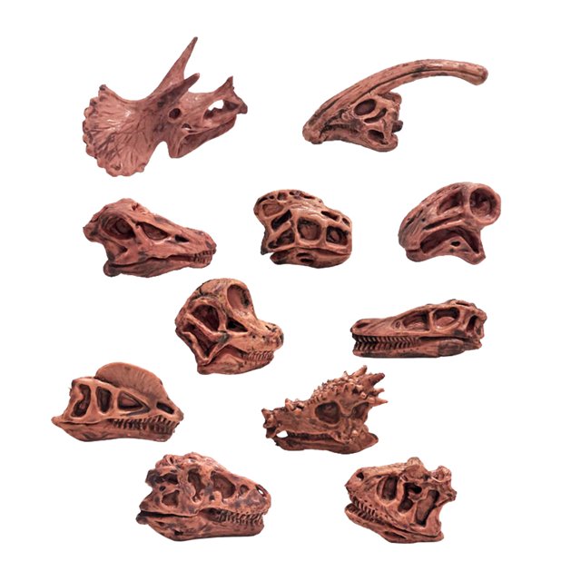Rvkxad Modèle de Squelette d'Animaux Anciens, Décor Réaliste de Crâne et d'Os pour Fête d'Halloween, Jouet Éducatif de Squelette, Modèle de Réplique d'Os