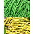 thumbnail image 1 of GSDWIUEW 100+ Jade & Cherokee Wax Bush Bean Combo (Mixed Seeds) All Heirloom Seeds, 1 of 3