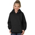 thumbnail image 1 of Hanes Jeunesse Comfortblend Ecosmart Chandail à Capuchon en Molleton, 1 of 1