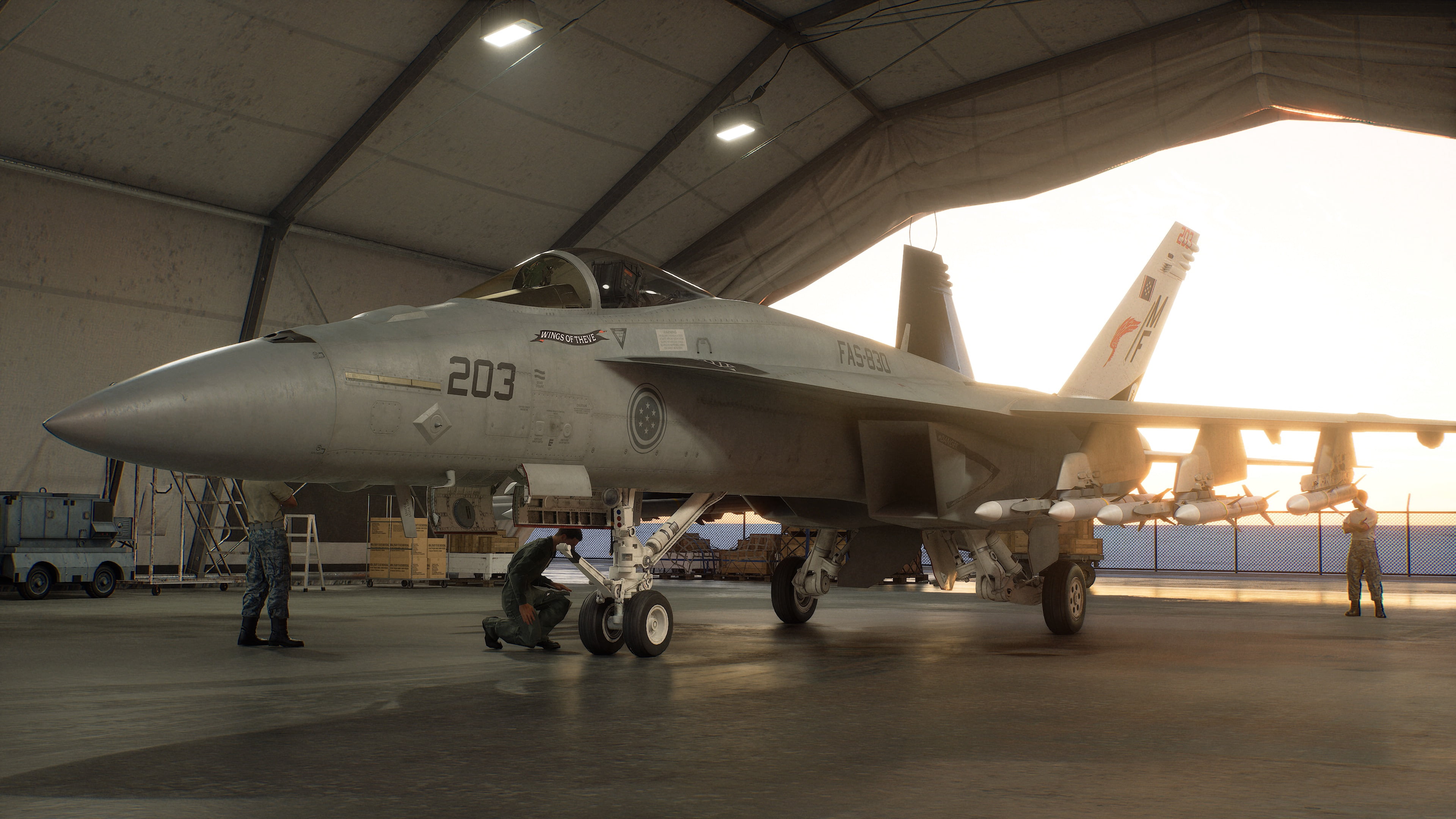 Jeu vidéo Ace Combat 8: Wings of Theve pour (PlayStation 5)