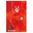 thumbnail image 1 of DC Comics TV - Le Flash - Key Art, 1 of 4