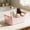 Pink#3, variant on pstuiky Storage Box Kitchen Organizer & Pantry Bin for Snacks, Utensils & Spices Reusable Plastic Container with Handle, Beige
