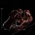 thumbnail image 4 of Échelle 1/10 Modèle Crâne Dinosaure Cératosaurus Outils Éducatifs Collection, 4 of 7